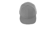 6 Panel cap style