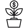 Money Plant